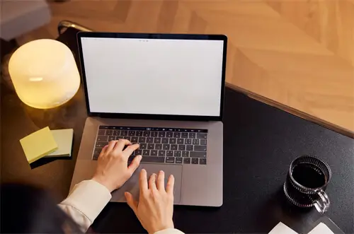 酸菜包美食做法